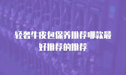 轻奢牛皮包保养推荐哪款最好推荐的推荐