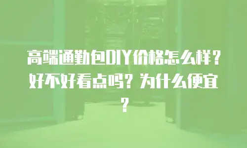 高端通勤包DIY价格怎么样？好不好看点吗？为什么便宜？