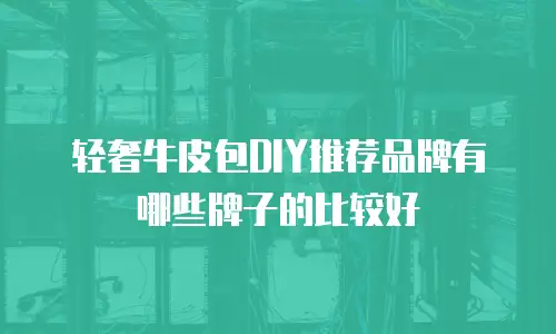 轻奢牛皮包DIY推荐品牌有哪些牌子的比较好