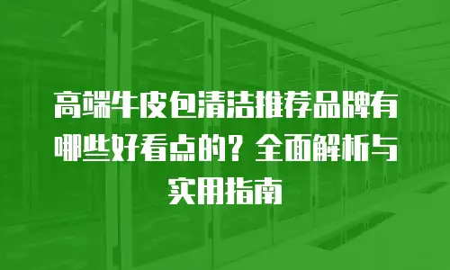 高端牛皮包清洁推荐品牌有哪些好看点的？全面解析与实用指南