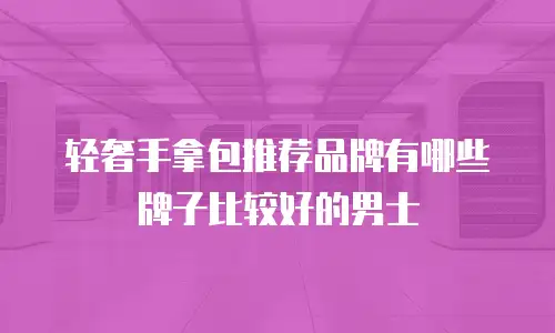 轻奢手拿包推荐品牌有哪些牌子比较好的男士