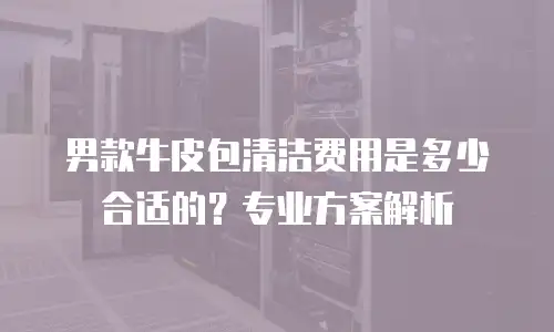 男款牛皮包清洁费用是多少合适的？专业方案解析