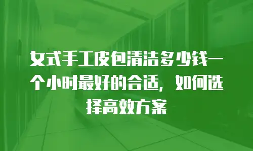 女式手工皮包清洁多少钱一个小时最好的合适，如何选择高效方案