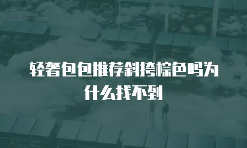轻奢包包推荐斜挎棕色吗为什么找不到