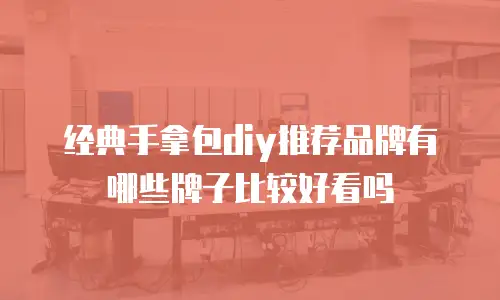 经典手拿包diy推荐品牌有哪些牌子比较好看吗