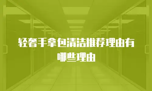 轻奢手拿包清洁推荐理由有哪些理由