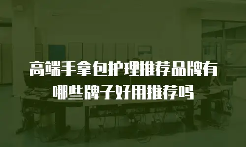 高端手拿包护理推荐品牌有哪些牌子好用推荐吗