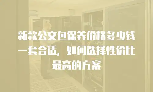 新款公文包保养价格多少钱一套合适，如何选择性价比最高的方案