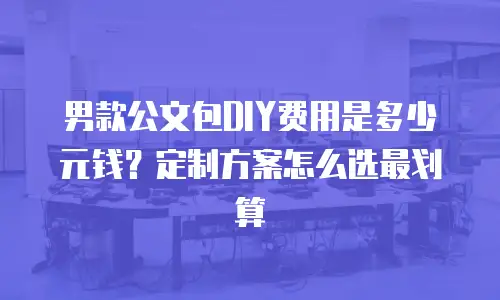 男款公文包DIY费用是多少元钱？定制方案怎么选最划算