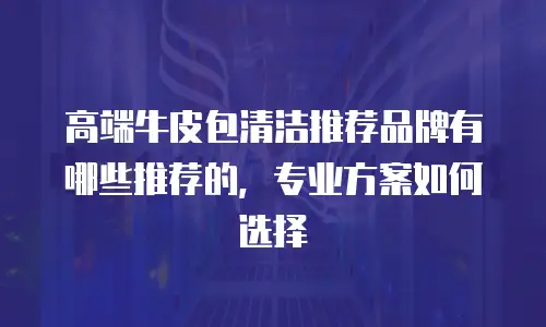 高端牛皮包清洁推荐品牌有哪些推荐的，专业方案如何选择