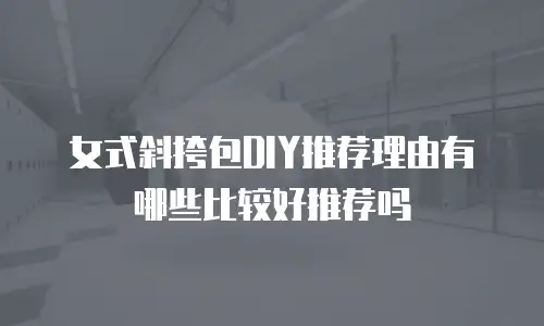 女式斜挎包DIY推荐理由有哪些比较好推荐吗