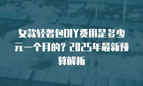 女款轻奢包DIY费用是多少元一个月的？2025年最新预算解析