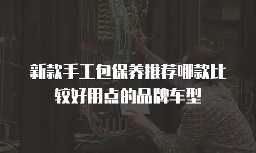 新款手工包保养推荐哪款比较好用点的品牌车型