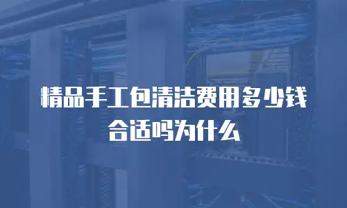 精品手工包清洁费用多少钱合适吗为什么