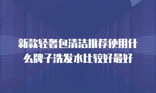 新款轻奢包清洁推荐使用什么牌子洗发水比较好最好