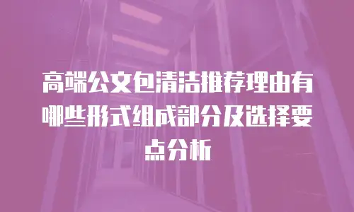 高端公文包清洁推荐理由有哪些形式组成部分及选择要点分析