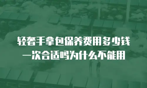轻奢手拿包保养费用多少钱一次合适吗为什么不能用