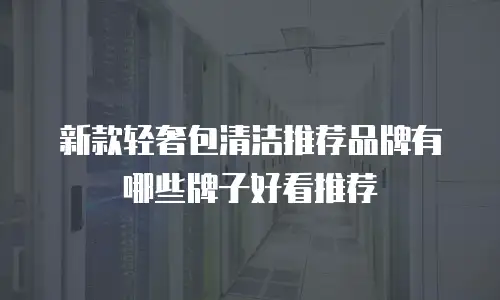 新款轻奢包清洁推荐品牌有哪些牌子好看推荐