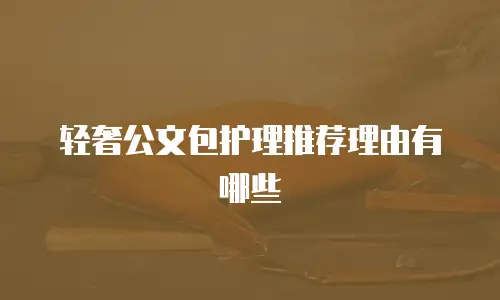 轻奢公文包护理推荐理由有哪些