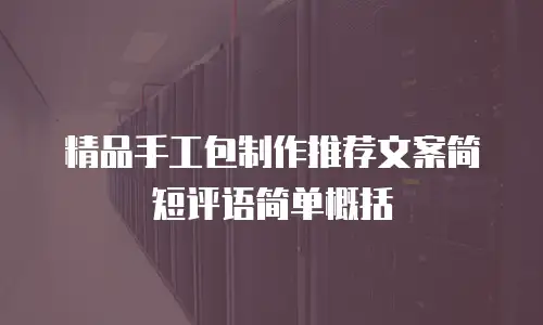 精品手工包制作推荐文案简短评语简单概括