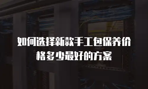 如何选择新款手工包保养价格多少最好的方案
