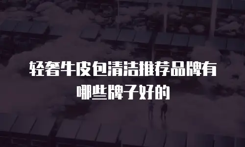 轻奢牛皮包清洁推荐品牌有哪些牌子好的