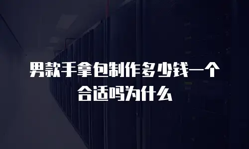 男款手拿包制作多少钱一个合适吗为什么