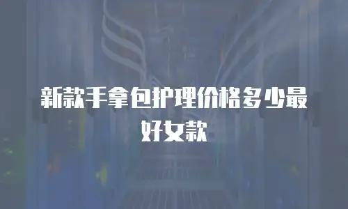 新款手拿包护理价格多少最好女款