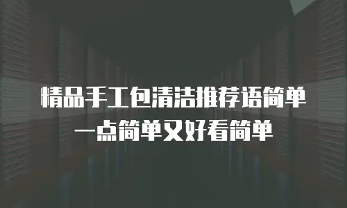 精品手工包清洁推荐语简单一点简单又好看简单