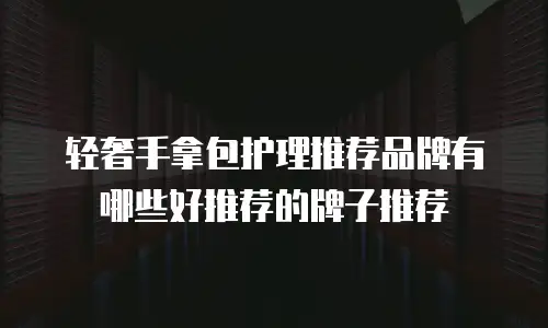 轻奢手拿包护理推荐品牌有哪些好推荐的牌子推荐