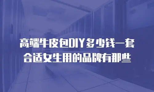 高端牛皮包DIY多少钱一套合适女生用的品牌有那些
