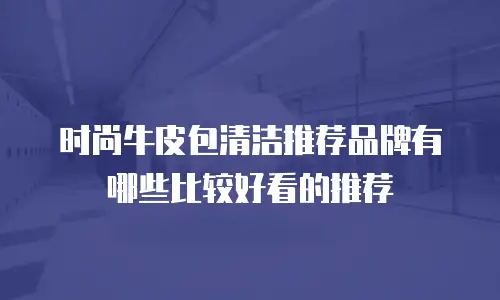 时尚牛皮包清洁推荐品牌有哪些比较好看的推荐
