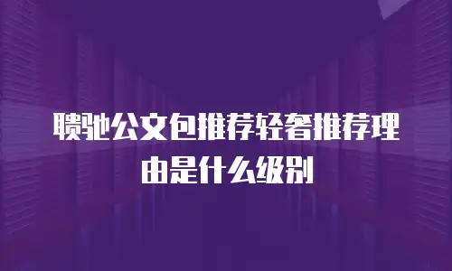 聩驰公文包推荐轻奢推荐理由是什么级别
