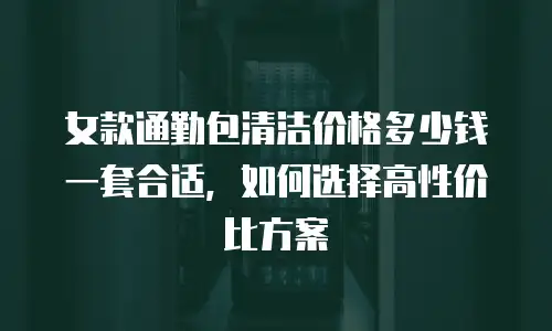 女款通勤包清洁价格多少钱一套合适，如何选择高性价比方案