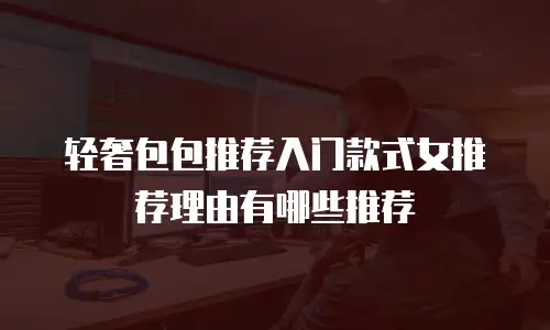 轻奢包包推荐入门款式女推荐理由有哪些推荐