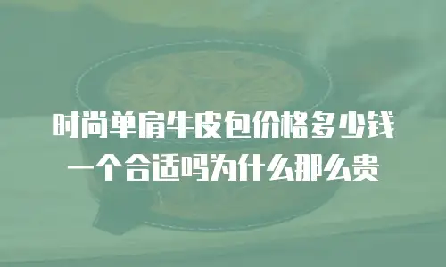 时尚单肩牛皮包价格多少钱一个合适吗为什么那么贵