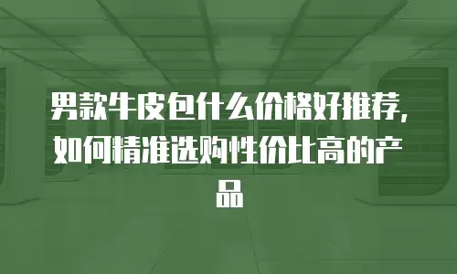 男款牛皮包什么价格好推荐，如何精准选购性价比高的产品