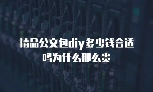 精品公文包diy多少钱合适吗为什么那么贵