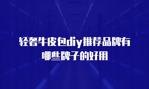 轻奢牛皮包diy推荐品牌有哪些牌子的好用