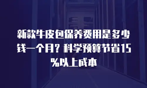 新款牛皮包保养费用是多少钱一个月？科学预算节省15%以上成本