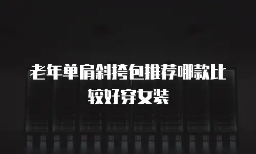 老年单肩斜挎包推荐哪款比较好穿女装