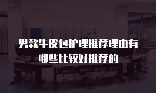男款牛皮包护理推荐理由有哪些比较好推荐的