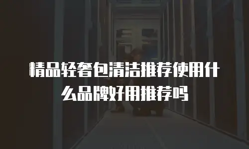 精品轻奢包清洁推荐使用什么品牌好用推荐吗