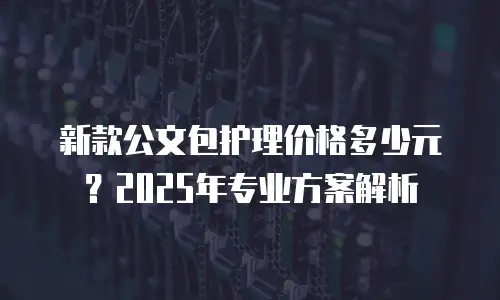 新款公文包护理价格多少元？2025年专业方案解析