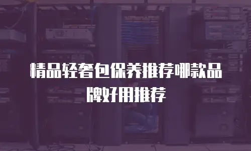精品轻奢包保养推荐哪款品牌好用推荐