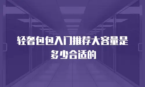 轻奢包包入门推荐大容量是多少合适的