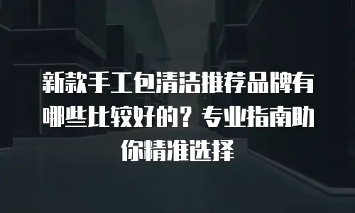 新款手工包清洁推荐品牌有哪些比较好的？专业指南助你精准选择