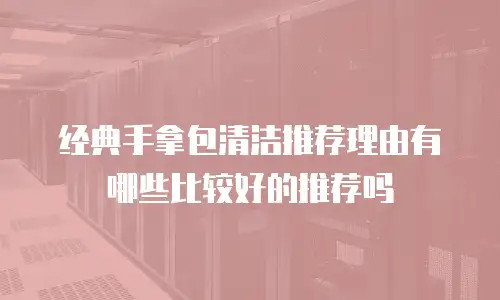 经典手拿包清洁推荐理由有哪些比较好的推荐吗