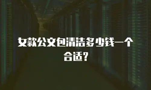 女款公文包清洁多少钱一个合适？