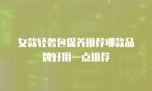 女款轻奢包保养推荐哪款品牌好用一点推荐